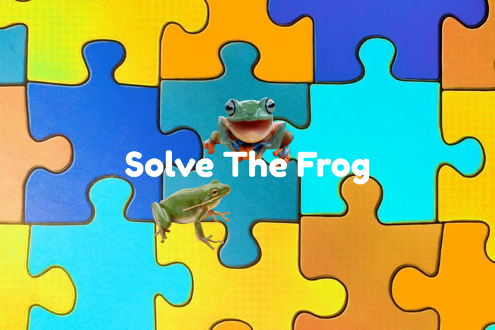 Solve The Frog